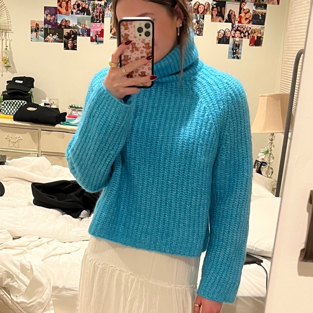 Zara Turtleneck Sweater